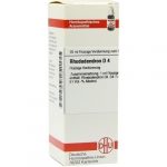 RHODODENDRON D4 DILUIZIONE 20 ML