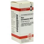 RHUS TOXICODENDRON LM VI DILUIZIONE 10 ML