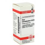 RHUS TOXICODENDRON LM XVIII DILUIZIONE 10 ML