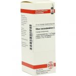 RHUS TOXICODENDRON C200 DILUIZIONE 20 ML