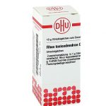 RHUS TOXICODENDRON C30 GLOBULI 10 G