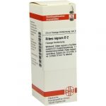 RIBES NIGRUM  D2 DILUIZIONE 20 ML