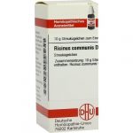RICINUS COMMUNIS D4 GLOBULI 10 G