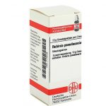 ROBINIA PSEUDOACACIA C30 GLOBULI 10 G