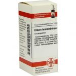 OLEUM TEREBINTHINAE D10 GLOBULI 10 G