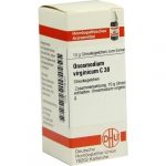 ONOSMODIUM VIRGINICUM C30 GLOBULI 10 G