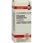 ORTHOSIPHON STAMINEUS D6 GLOBULI 10 G
