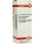PANAX GINSENG D6 DILUIZIONE 20 ML