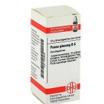 PANAX GINSENG D6 GLOBULI 10 G