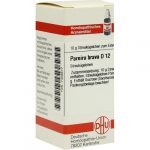 PAREIRA BRAVA D12 GLOBULI 10 G