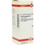 PERILLA OCYMOIDES D2 DILUIZIONE 50 ML