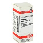 PETROLEUM RECTIFICATUM C30 GLOBULI 10 G