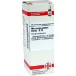 MERCURIUS JODATUS FLAVUS D12 DILUIZIONE 20 ML
