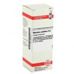 MYRISTICA SEBIFERA D8 DILUIZIONE 20 ML