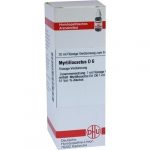 MYRTILLOCACTUS D6 DILUIZIONE 20 ML