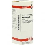 MYRTILLOCACTUS TINTURA MADRE 20 ML