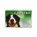 CAPSTAR 57 mg compresse per cani di grossa taglia 6 pz