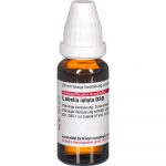 LOBELIA INFLATA D30 DILUIZIONE 20 ML