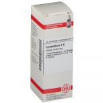 LYCOPODIUM C6 DILUIZIONE 20 ML
