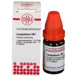 LYCOPODIUM LM I DILUIZIONE 10 ML