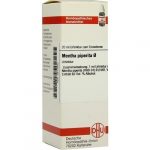 MENTHA PIPERITA TINTURA MADRE 20 ML