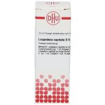 LESPEDEZA CAPITATA D6 DILUIZIONE 20 ML