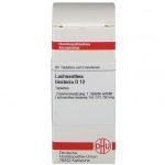 LACHNANTHES TINCTORIA D12 80 COMPRESSE