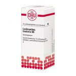 LACHNANTHES TINCTORIA D6 GLOBULI 10 G