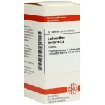 LACHNANTHES TINCTORIA C4 80 COMPRESSE
