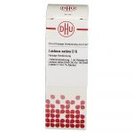 LACTUCA SATIVA D6 DILUIZIONE 20 ML