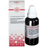 LATRODECTUS MACTANS D15 DILUIZIONE 50 ML