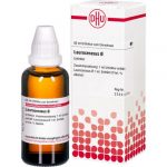 LAUROCERASUS TINTURA MADRE 50 ML