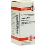 LEDUM LM VI DILUIZIONE 10 ML