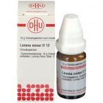 LEMNA MINOR D12 GLOBULI 10 G