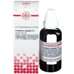 LESPEDEZA CAPITATA D4 DILUIZIONE 50 ML