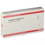 LESPEDEZA CAPITATA D4 FIALE