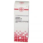 LEVISTICUM OFFICINALIS D10 DILUIZIONE 50 ML