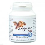 Ingwer 500  90 stk (Zenzero 500  90 pz)