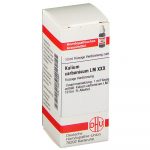 KALIUM CARBONICUM LM XXX DILUIZIONE 10 ML