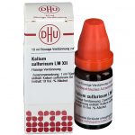 KALIUM SULFURICUM LM XII DILUIZIONE 10 ML