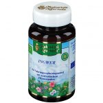 INGWER KAPSELN  60 stk  (CAPSULE ALLO ZENZERO  60 pz)