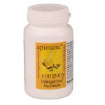 APIMANU Diabgymna Ayurveda Kapseln  60 stk  (APIMANU Diabgymna Ayurveda capsule  60 pz)