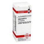 JABORANDI D4 GLOBULI 10 G