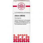 JODUM LM XVIII GLOBULI 5 G