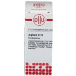 JUGLANS D12 GLOBULI 10 G