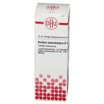 KALIUM ARSENICOSUM D6 DILUIZIONE 20 ML