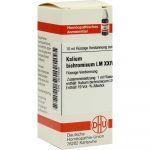 KALIUM BICHROMICUM LM XXIV DILUIZIONE 10 ML