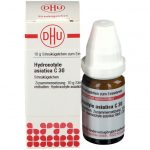 HYDROCOTYLE ASIATICA C30 GLOBULI 10 G