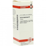 INULA HELENIUM TINTURA MADRE  20 ML