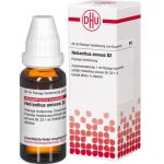 HELIANTHUS ANNUUS D2 DILUIZIONE 20 ML
